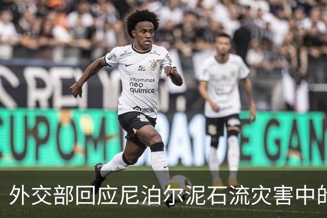 外交部回应尼泊尔泥石流灾害中的中方救援行动